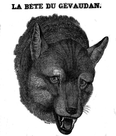 Representation of the Bete du Gevaudan. av Unknown artist