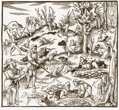 Rabdomancy - rhabdomancie - Utforskning av et gruvefelt ved hjelp av spådomsstaven - Menn kutter og bruker spådomsstaver for å lokalisere mineraler - Fra "" De re metallica"" av Georgius Agricola (Georg Bauer), Basel av Unknown artist