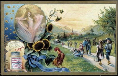 Hane synger soloppgangen - chromo. Liébig, deb. Det 20. århundre av Unknown artist