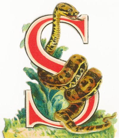 S: Slange av Unknown artist
