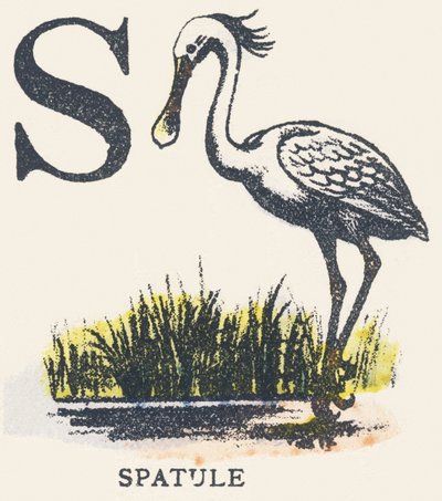S: slikkepott av Unknown artist
