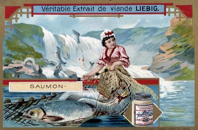 Laksefiske - kromo fra 1800-tallet. av Unknown artist