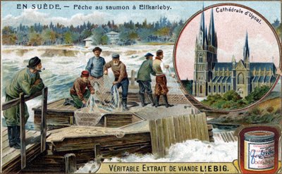 Laksefiske i Elfkarleby, Sverige. Kromolitografi, Liebig-bilde. av Unknown artist