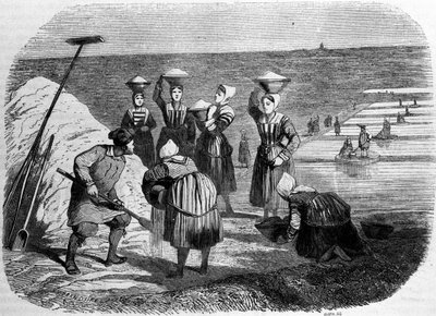 Saltproduksjon: kvinner som jobber i saltmyrer. 1800-talls gravering av Unknown artist