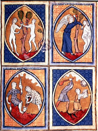 Scener fra Bibelen avbildet i mandorles. Opp Adam og Eva plukker den forbudte frukten, og jakter deretter fra himmelen. Der nede arbeider Adam jorden og Eva gir ullen, Kain og Abel. Miniatyr fra et manuskript fra 1200-tallet. Porto, kommunalt bibliotek av Unknown artist
