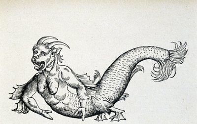 Havdjevel, visstnok fanget i Adriaterhavet på begynnelsen av 1400-tallet - ifølge Gesner av Unknown artist