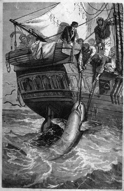 Shark fishing. (Pesca allo squalo) 19th century engraving. Private collection. av Unknown artist