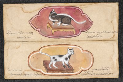 Siamesiske katter av Unknown artist