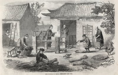 Silke produksjon i Kina og de ulike stadier av produksjon. av Unknown artist