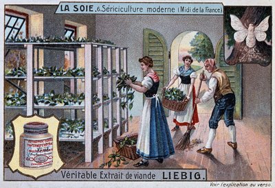 Silke: silkeverksted i Sør-Frankrike, Liebig publisitet, v. 1895 av Unknown artist