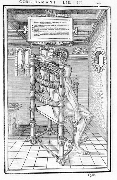 Hodeskalle kuttet. Anatomisk styre for "Disseksjonen av de tre delene av menneskekroppen ..." Carlo Stefano Riverio, Paris 1545 av Unknown artist