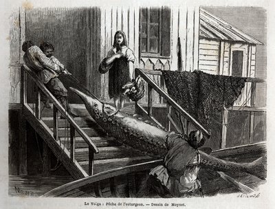 Størfiske ved munningen av Volga-elven. Gravering for å illustrere reisen på Volga av M. Moynet, i 1864, i "" Le tour du monde, nouveau journal des voyages"" utgitt under ledelse av Edouard Charton av Unknown artist