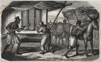 Sukkerproduksjon: en sukkerrørfabrikk i en sukkerfabrikk i Vestindia. Gravering fra 1859. av Unknown artist