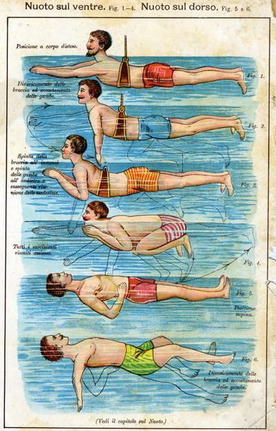 Svømming på magen - i Bilz, Natural Medication, sent på 1800-tallet av Unknown artist