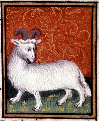 Væren. Miniatyr av et horoskop. 1400-talls manuskript. Bibl. Trivulziana, Milano. av Unknown artist