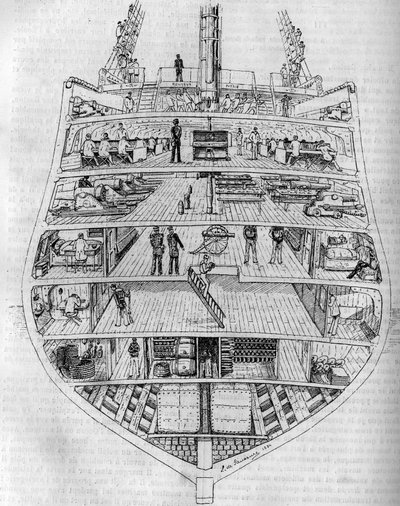 "Borda": tverrsnitt av båten. Tegning av M.L. de Saussure. Gravering i «The Journal of Youth»» av Unknown artist