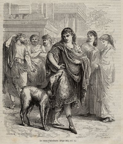 The Dog of Alcibiades - The dog of Alcibiades statesman and orator and general Athenian, 450-404 BC engraving from 1864 av Unknown artist