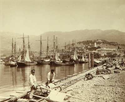 Oppføringen av en brygge i Jalta. Albumin bilde av Unknown artist