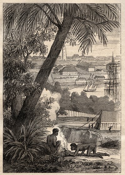 The Expedition to the Southern Lands (1800-1803) av Nicolas Baudin (1754-1803): View of Sydney (Australia) - illustrasjon fra "The Great Mariners of the 18th century"" av Unknown artist