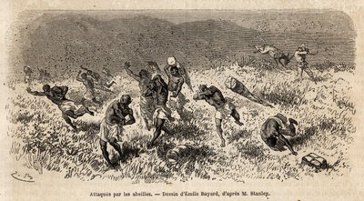 Karavanen av bærere av Henry Morton Stanleys ekspedisjon (1841-1904) på Misonghi-veien (Øst-Afrika) ble angrepet av en sky av bier. Gravering for å illustrere reisen på jakt etter Livingstone, i Sentral-Afrika, av Henry Stanley, korrespondent for av Unknown artist