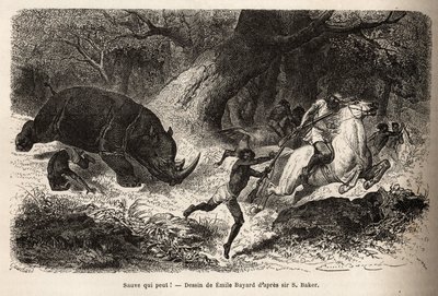 Anklagen om neshornet som velter og fanger jegerne, under letingen etter forfatteren og hans guider. Gravering for å illustrere utforskningen av de abessiniske sideelvene til Nilen, av Sir Samuel W. Baker, i 1861-62, publisert i "" Le tou av Unknown artist