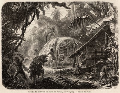 Samlingen av matte på bredden av Parana, infusjonen av dette aromatiske bladet er den vanlige søramerikanske drinken, tegnet av Fuchs, for å illustrere reisen til Paraguay, fra 1844 til 1847, av Dr. Alfred Demersay. Gravering i "" Le tour du mond av Unknown artist