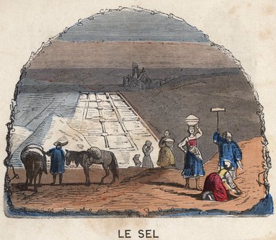 Samlingen av salt. 1800-talls illustrasjon. Bianchetti samling. av Unknown artist