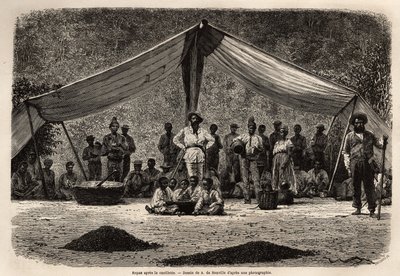 Arbeidernes felles måltid etter innsamling av kaffefeber, som tørker på bakken i forgrunnen; i midten av bildet lukker eieren av plantasjen og hodeplagg i hvitt. Gravering for å illustrere reisen til Brasil, historie av M. av Unknown artist
