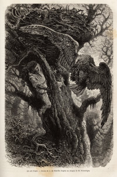 Ørnen beskytter redet sitt mot inntrengeren. Gravering for å illustrere historien Quatre mois en Florida, av M. Pousselgue, i 1851-1852, publisert i "" le tour du monde", under ledelse av D
