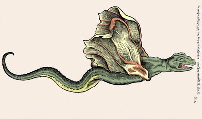 Den flygende dragen Amphiptere (Amphithere eller Amphitere eller Amphipthere) Gravering i dyrenes historie av Conrad Gesner (1516 - 1565), Tiguri av Unknown artist