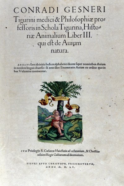 Forsiden av det tredje bindet av Historia Animalium av Conrad Gesner (1516 - 1565), Tiguri av Unknown artist
