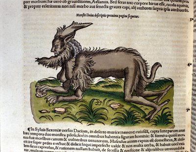 Manticore fra Historia Animalium av Conrad Gesner, Tiguri 1560. Biblioteca Nazionale Braidense. Milan av Unknown artist