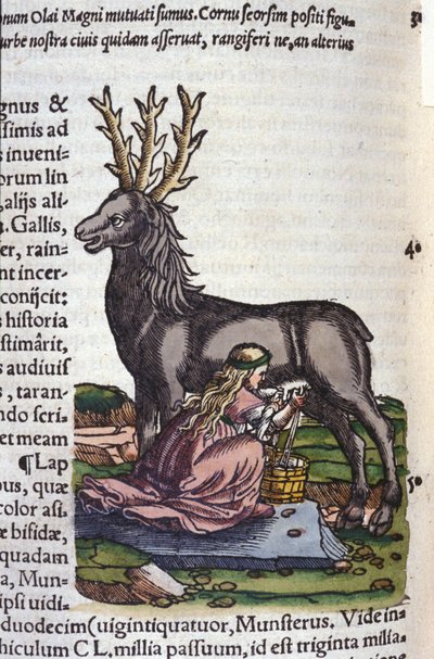 Reinhandelen etter Historia animalium til Konrad Gesner, Tiguri av Unknown artist