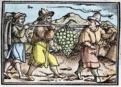 Josva og Kaleb kommer tilbake med en enorm drueklase fra Kanaans land (det lovede land). Kronikk av Johann Stumpff “” Den edlen strucen besten fromen”” av Unknown artist