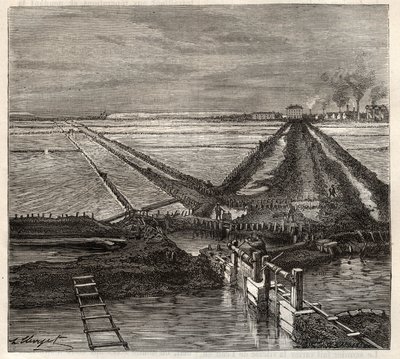 Saltmyra i Giraud i Camargue (Bouches-du-Rhone), utsikt tatt fra servicekanalen - gravering i 'Les Merveilles de l'Industrie' av Louis Figuier av Unknown artist