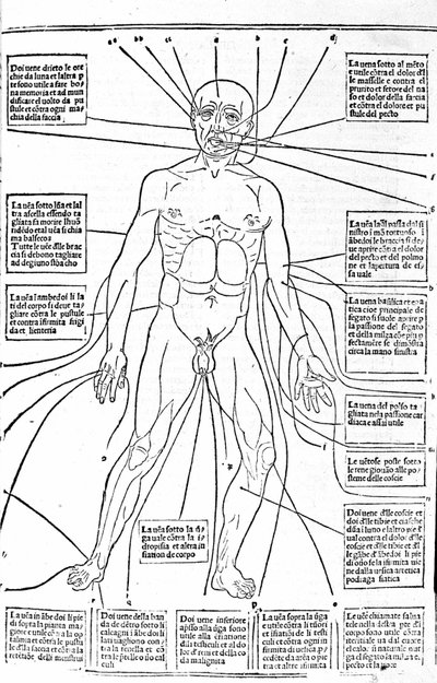 Dette bildet viser steder av kroppen eller praksis blødning avhengig av smerten. Treatise of Medicine av Gerolamo Cardano (Cardanus Hieronymus), Firenze av Unknown artist