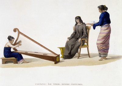 Ulike kostymer av kvinner fra Timor Island (Coupang). av Unknown artist