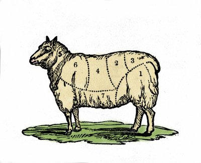 Ulike biter av saueslakter. Illustrasjon fra slutten av 1800-tallet. av Unknown artist