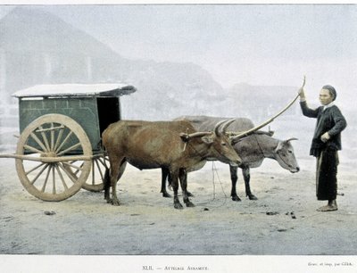 Vietnamesisk Hitch, "" Around the World", slutten av 1800-tallet. av Unknown artist