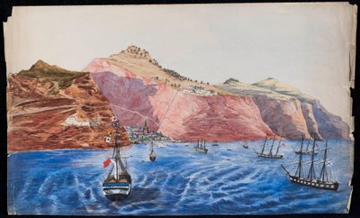 Utsikt over Jamestown, St. Helena, ca. 1850 (wc på papir) av Unknown