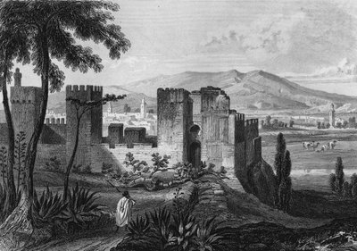 View of the enclosure of Tlemsen (or Tilimsen) in Algeria in the 19th century, in “” Algerie ancienne et moderne”” by Leon Galibert av Unknown artist