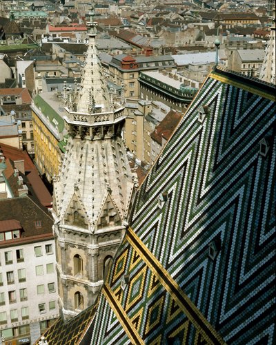 Utsikt over det glaserte tegltaket på katedralen av Unknown artist
