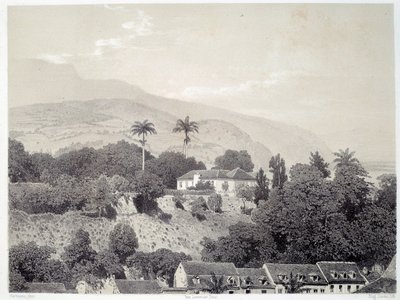 Utsikt over husene tatt fra Boulevard de la Comedie i Saint Pierre på Martinique på Antillene. Trykk etter fotografi fra slutten av 1800-tallet Chartres musee des Beaux Arts av Unknown artist