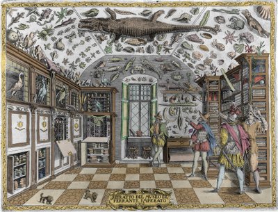 Utsikt over museet (kabinettet) av kuriositeter (leksikonmuseum) til farmasøyten Ferrante Imperato (1550 - 1631). Gravering fra 1678. Museum for den napolitanske apotekeren Ferrante Imperato. av Unknown artist