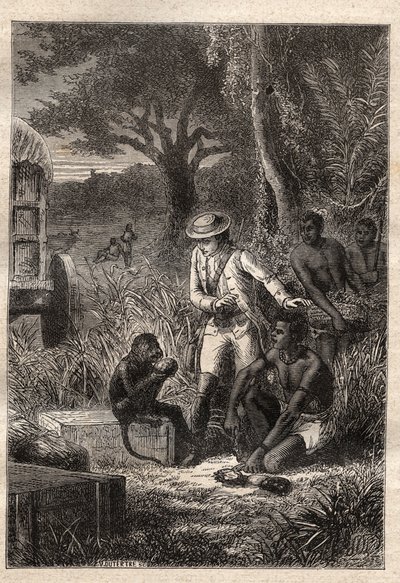Voyage dans la Caffrerie (South Africa) (1781) by Francois Levaillant (Le Vaillant) (1753-1824): Levaillant and his monkey degustateur Maitre Kees, who tastes the fruits and roots in order to verify that they are edible - illustration taken from “” Les Gra av Unknown artist