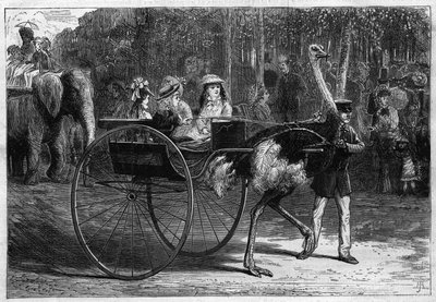 Gå på ryggen til en elefant og barn i en kariola dratt av østerrikere. Akklimatiseringshagen til Bois de Boulogne i Paris av Unknown artist