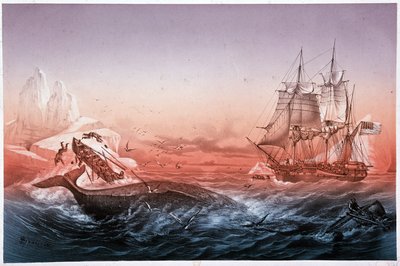 Hvalfangstfartøyet klarte ikke å redde sine hvalkantrede båter av Unknown artist