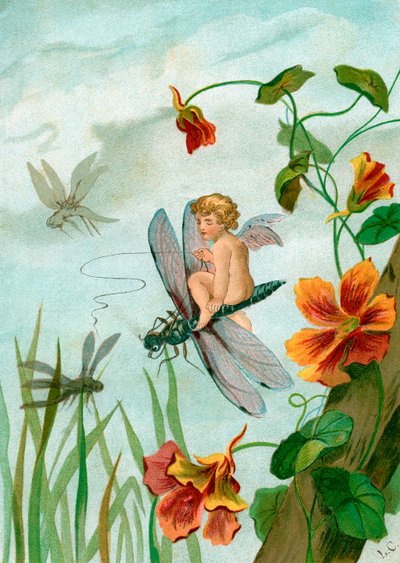 Winged Fairy Riding a Dragonfly nær Nasturtium Flowers av Unknown artist