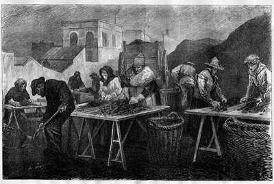 Arbeidere i Frankrike: Kokssorterere (variasjon av kull fra destillasjon av kull, brukt til oppvarming) i en gassfabrikk i Paris Gravering i "Le Monde Illustré"" av Unknown artist