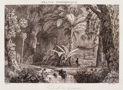 gravering som viser den franske kolonien Guyana i Sør-Amerika 1850 av Unknown artist